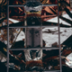 Image for article titled Extremely high-res outtakes from Apollo 11’s 1969 moon landing